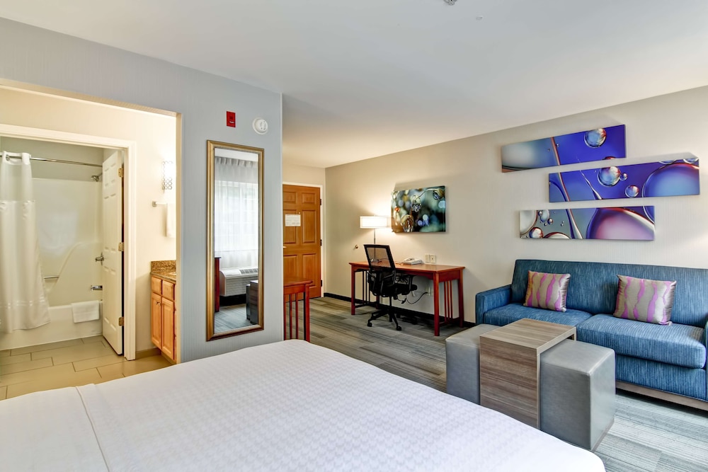 Studio Suite, 1 Queen Bed - Photo 5