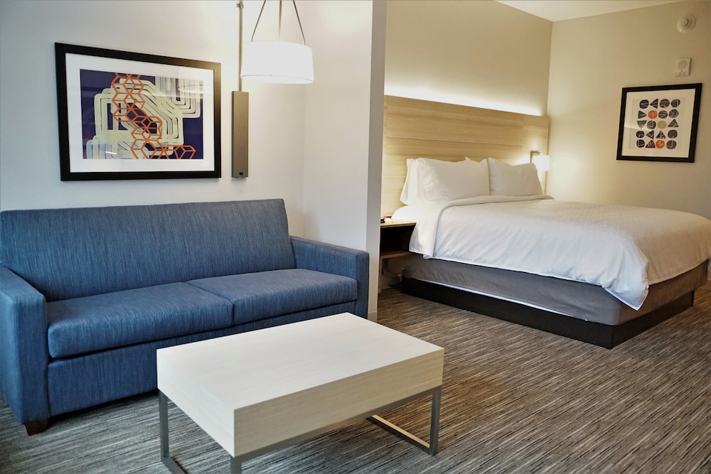 Suite, 1 King Bed, Accessible (Comm, Roll-In Shower) photo 2