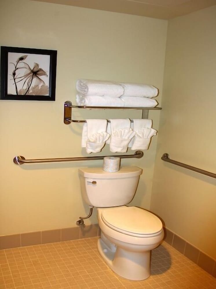 Classic Room, 1 King Bed, Accessible - Photo 4