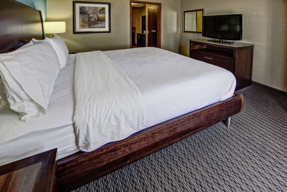 Suite, 1 Bedroom - Photo 3