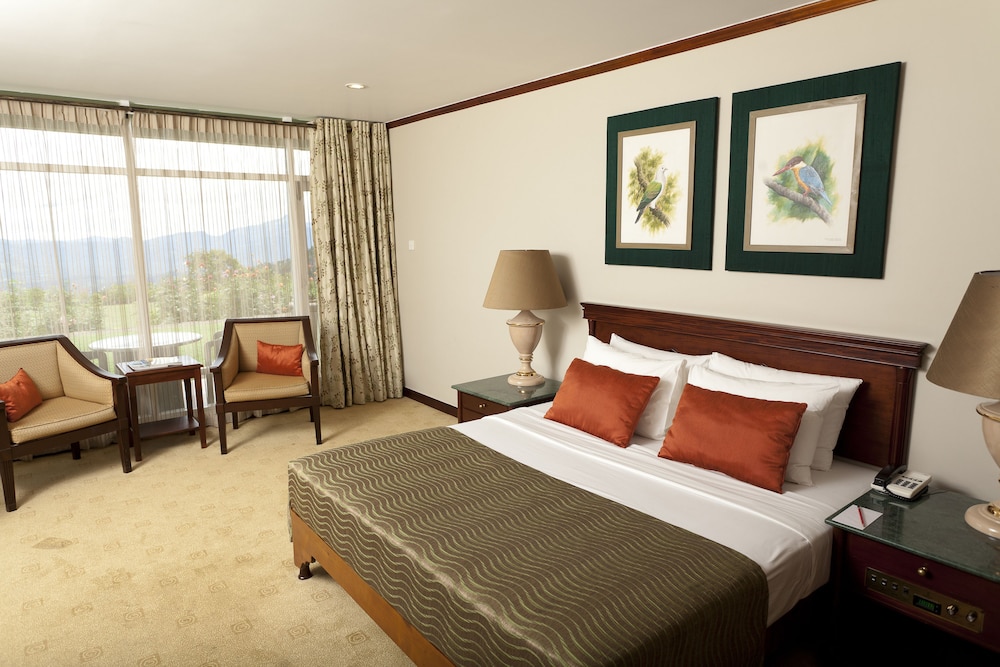 Deluxe Double or Twin Room, 1 Bedroom, Mountain View photo 1