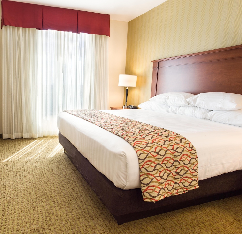 Suite, 1 King Bed with Sofa bed, Refrigerator & Microwave (2 Rooms, Hearing Accessible) photo 2