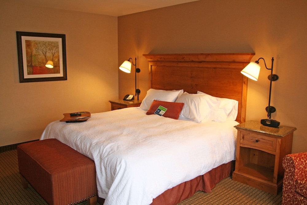 Room, 1 King Bed, Accessible - Photo 2