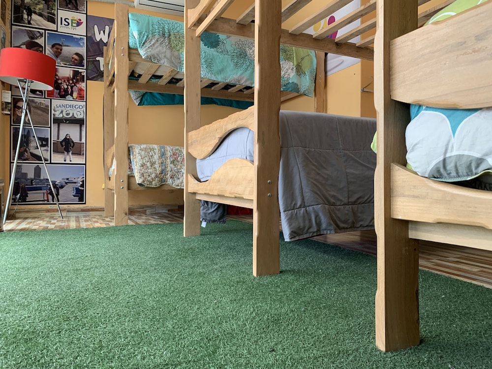 Shared Dormitory, Multiple Beds photo 1