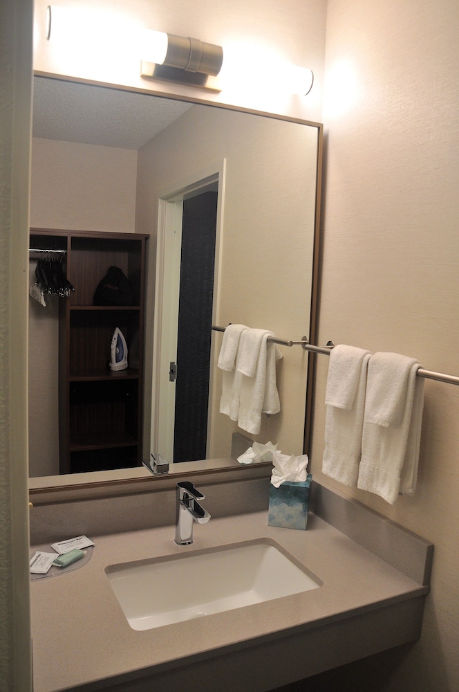 Room, 1 King Bed (Hearing Accessible) photo 3