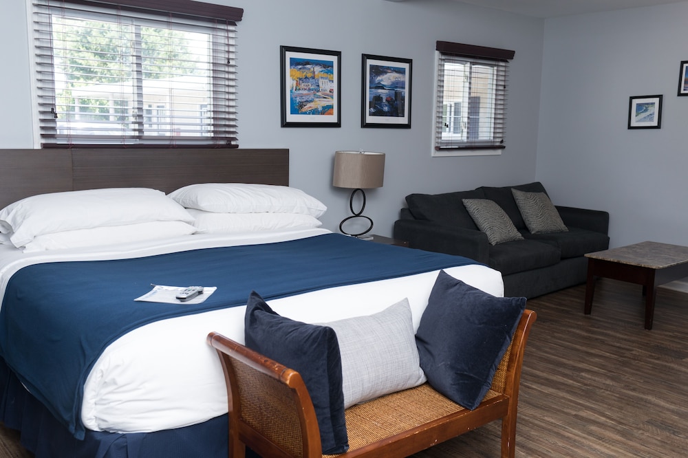 Studio Suite, 1 King Bed photo 1