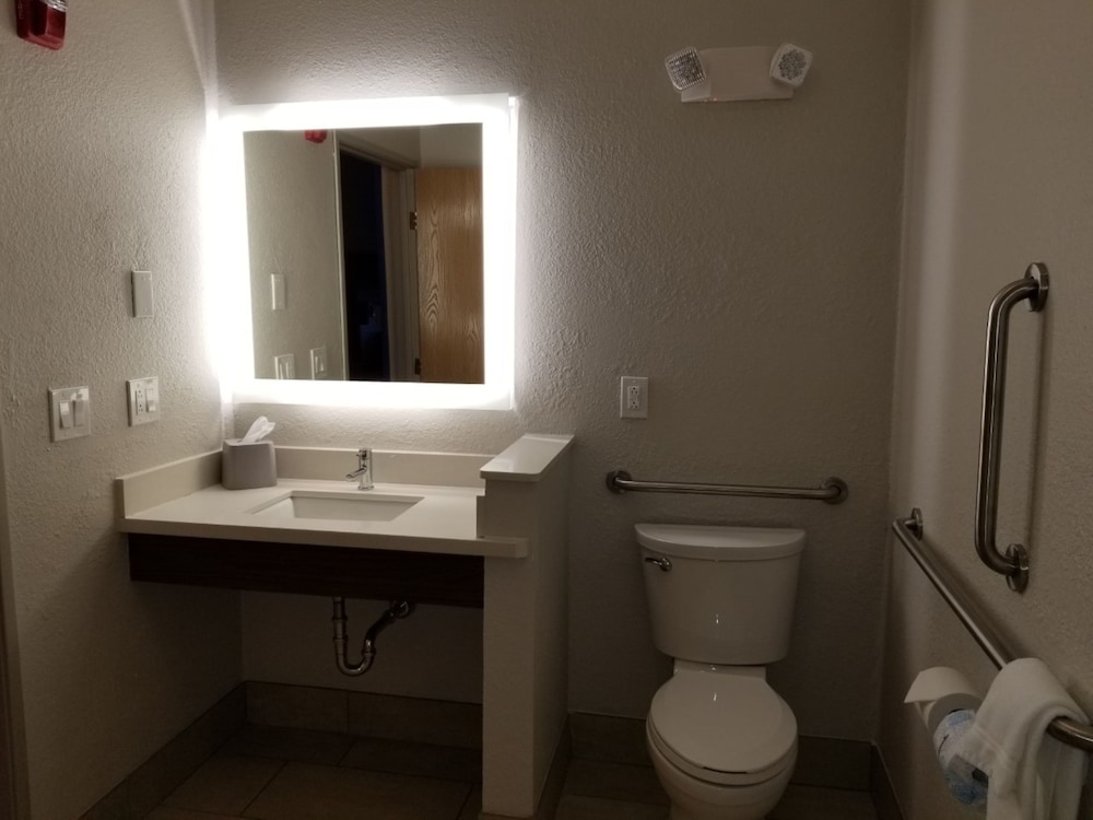 Standard Room, 1 King Bed, Roll-in Shower (Communications Accessible) - Photo 4
