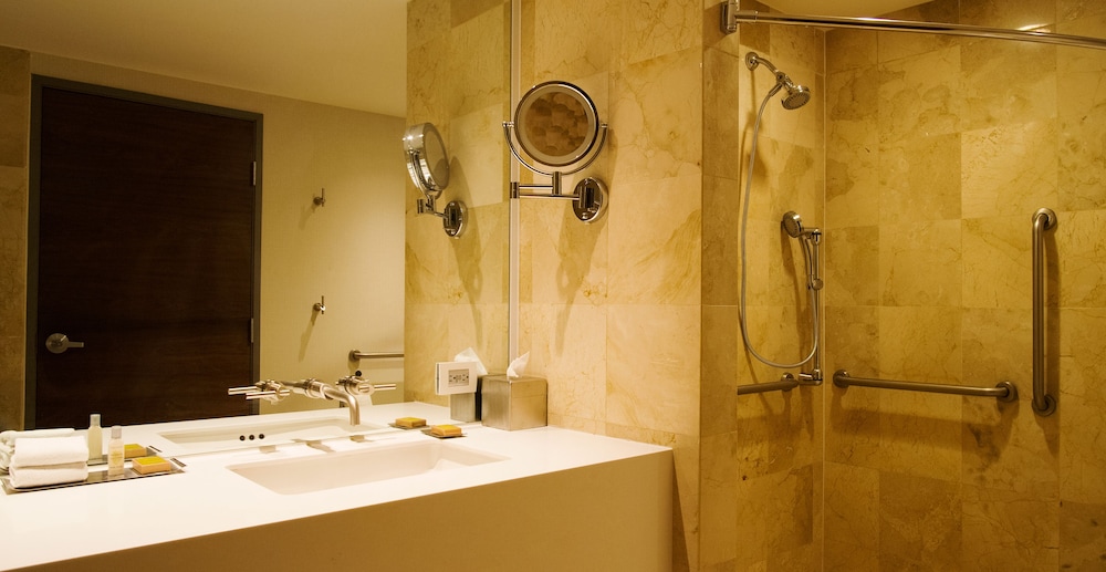 Room, Accessible, Non Smoking (mob/hearing acc w/ roll-in shower)