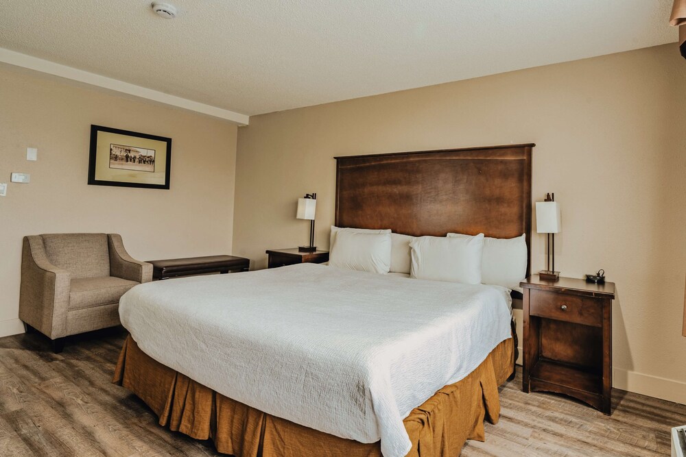 Standard Room, 1 King Bed, Accessible, Refrigerator & Microwave - Photo 3