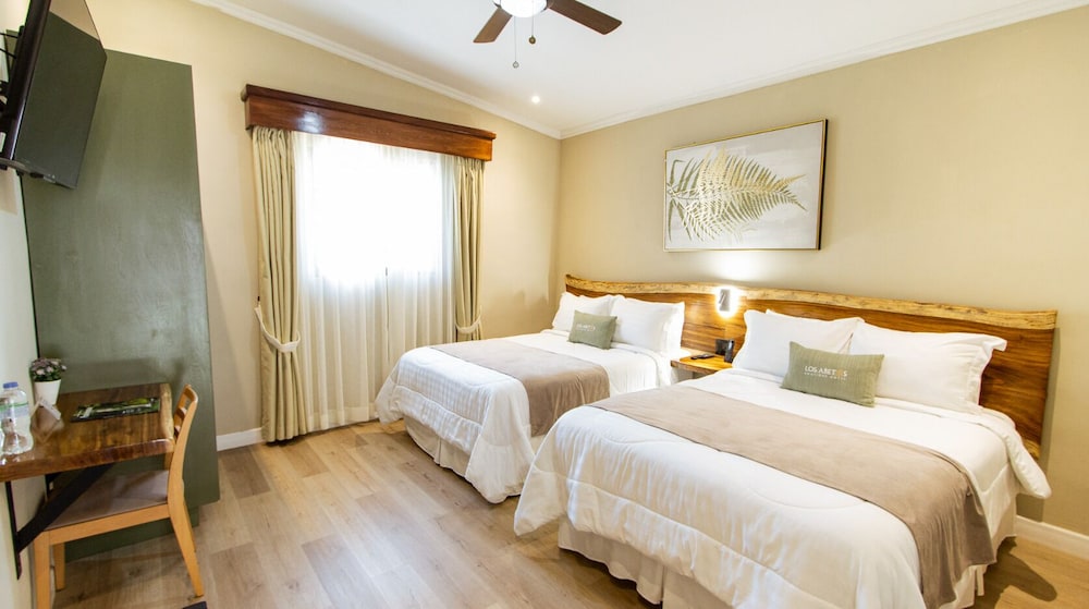Comfort Double or Twin Room photo 1