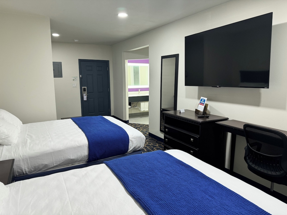 Suite 2 Queen Beds + Sofa sleeper photo 3