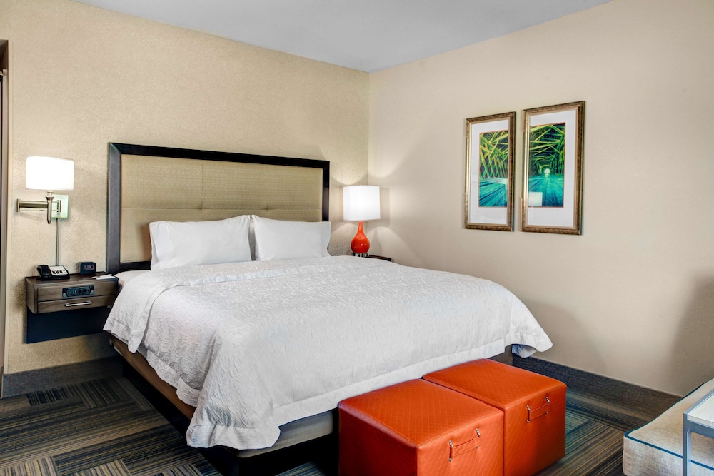 Room, 1 King Bed, Accessible, Non Smoking (Bathtub) photo 3