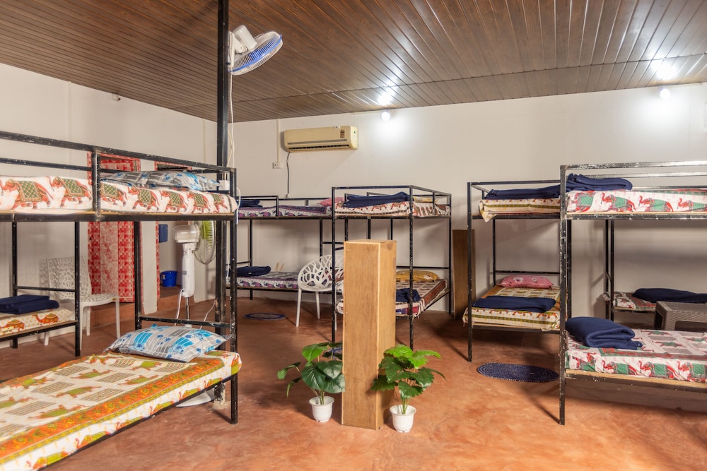 Basic Shared Dormitory