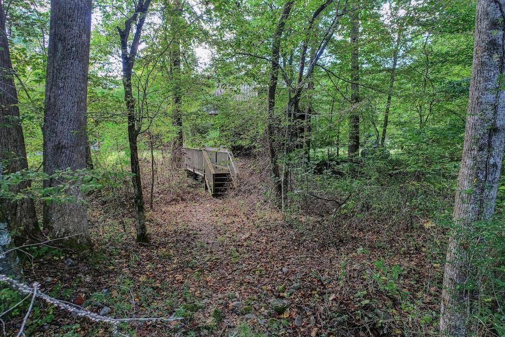 Cabin, 2 Bedrooms photo 2