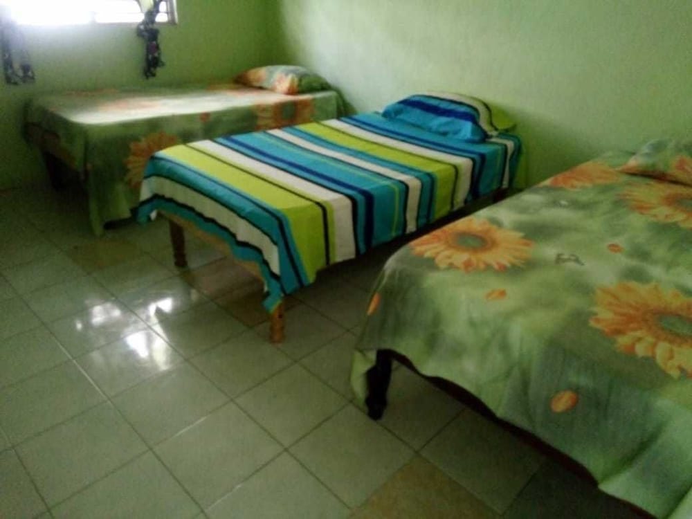 Basic Triple Room, Smoking photo 1