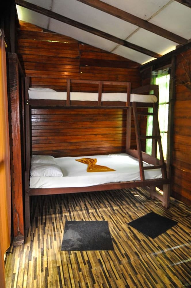 Tree House, Mixed Dorm photo 1