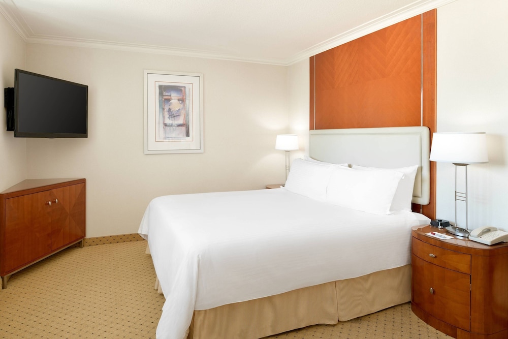 Suite, 1 Bedroom - Photo 1