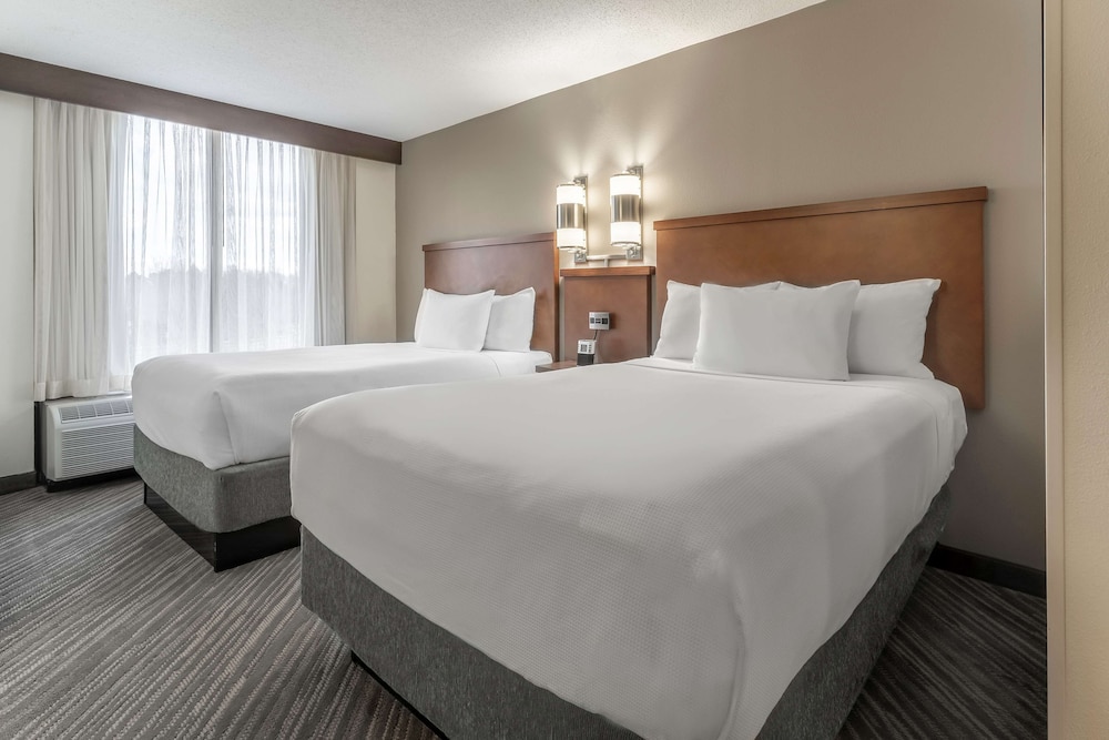 Standard Studio Suite, Multiple Beds photo 2