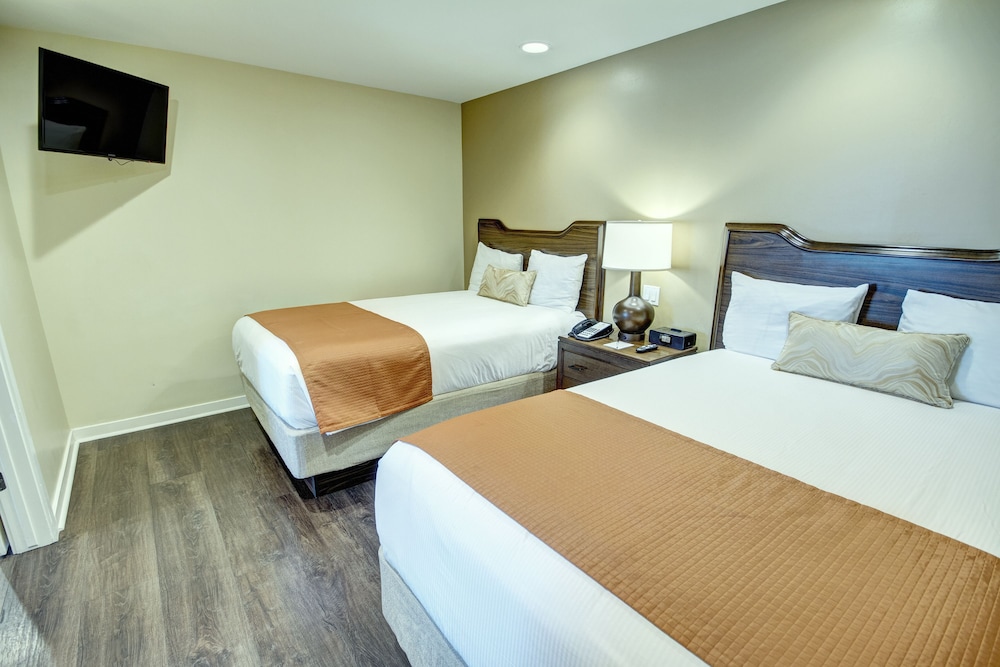 Suite, 1 Bedroom, Kitchenette photo 2