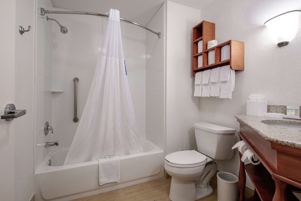 Signature Suite, 1 King Bed with Sofa bed, Accessible - Photo 5