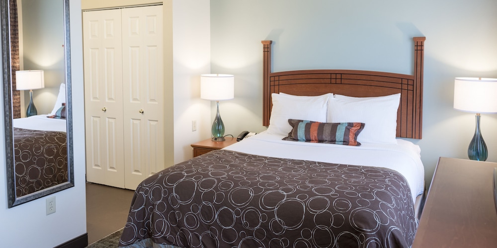 Studio Suite, 1 Queen Bed with Sofa bed, Kitchen - Photo 1