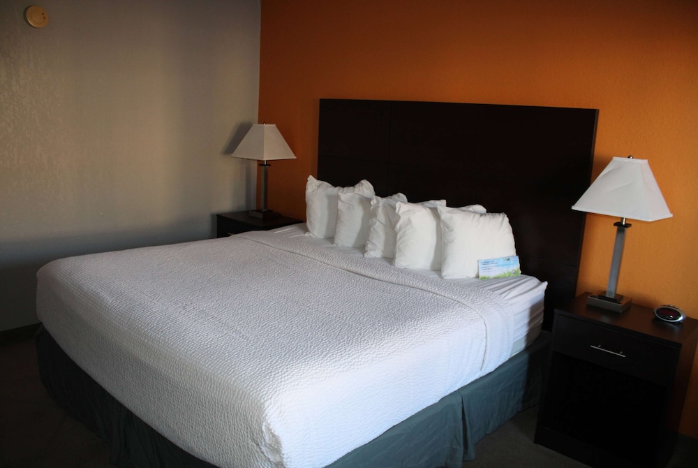 Standard Room, 1 King Bed, Non Smoking - Photo 1