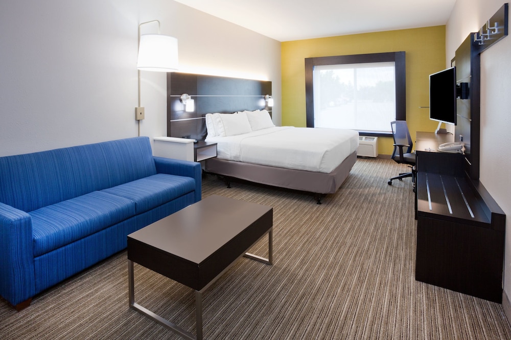 Suite, 1 King Bed - Photo 1