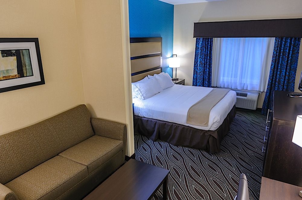 Room, 1 King Bed with Sofa bed, Non Smoking photo 2