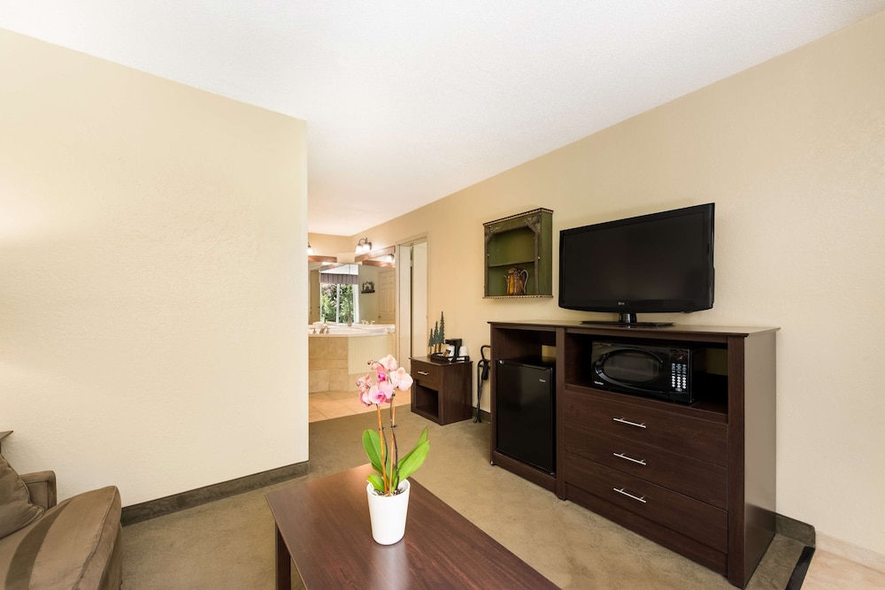 Suite, 1 King Bed, Accessible, Refrigerator & Microwave (With Sofabed) photo 3