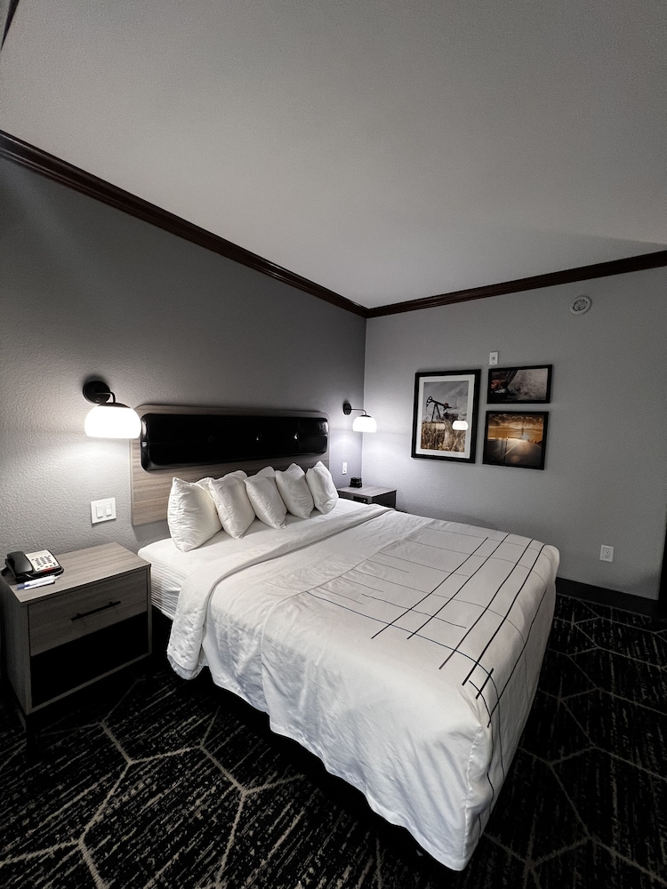 Deluxe Room, 1 King Bed, Non Smoking (Deluxe Executive Room) - Photo 5
