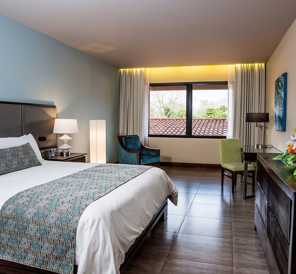 Deluxe Room, 1 King Bed, Mountain View