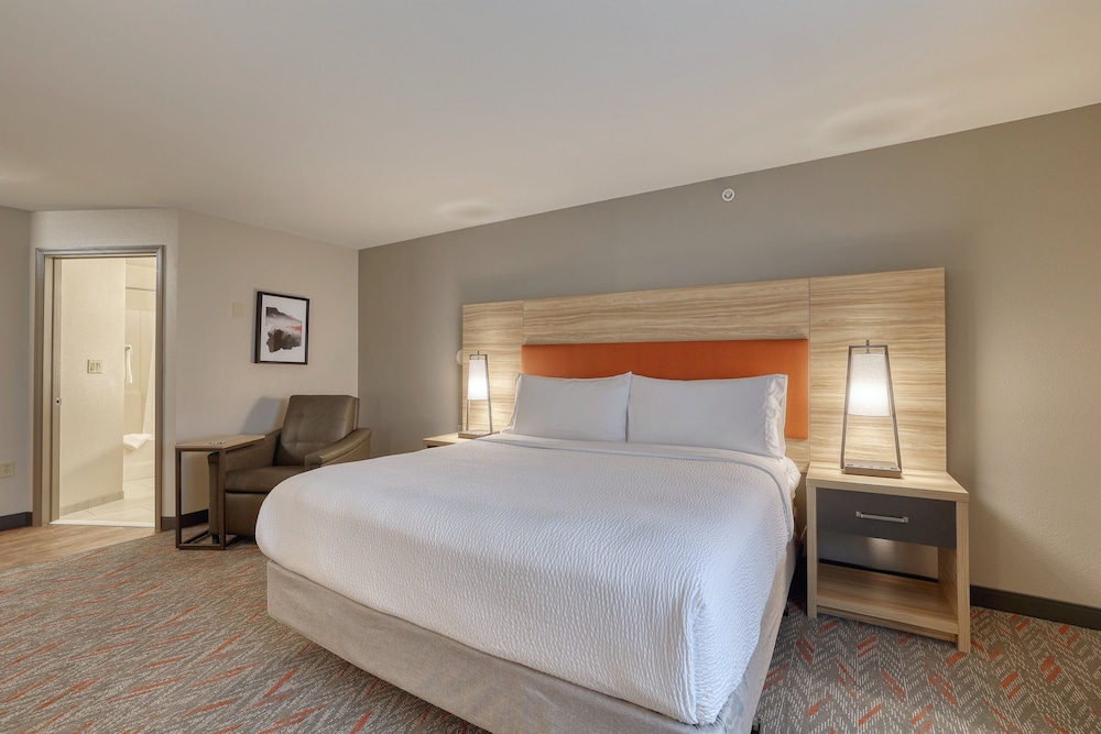 Suite, 1 King Bed, Accessible (Comm, Mobil Tub) - Photo 2