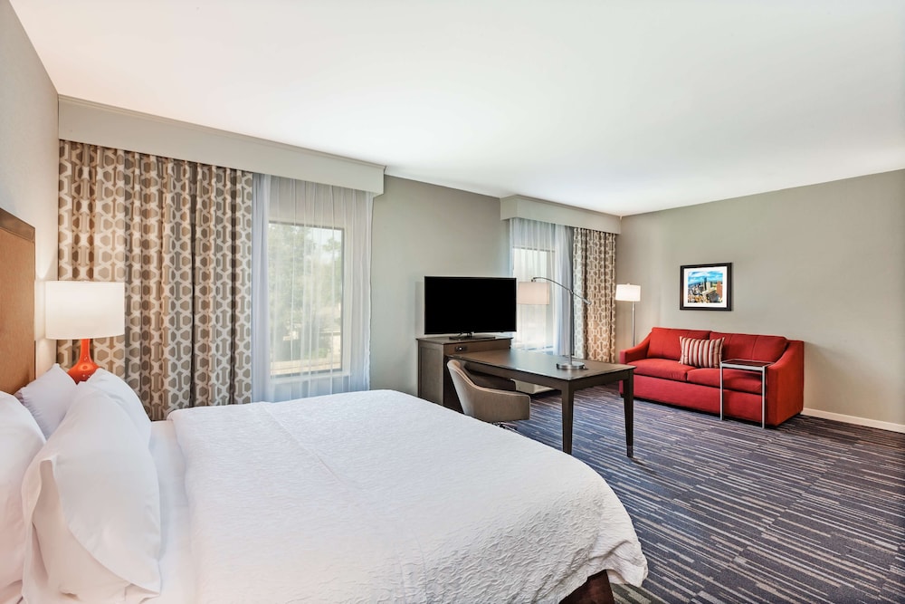 Room, 1 King Bed, Accessible, Bathtub photo 2