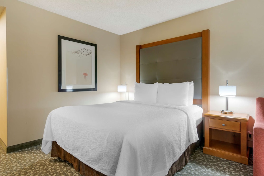Standard Room, 1 King Bed, Non Smoking, Refrigerator & Microwave photo 2