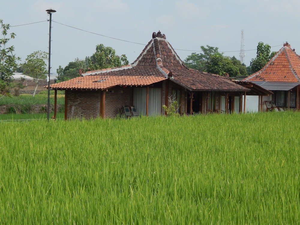 Family Villa, 2 Bedrooms, Garden View photo 1