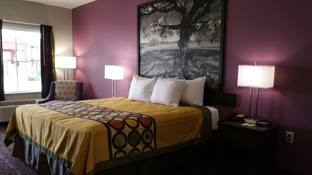 Deluxe Suite, 1 Double Bed, Accessible, Smoking (Mobility,Hearing,Roll-In Shower) photo 3