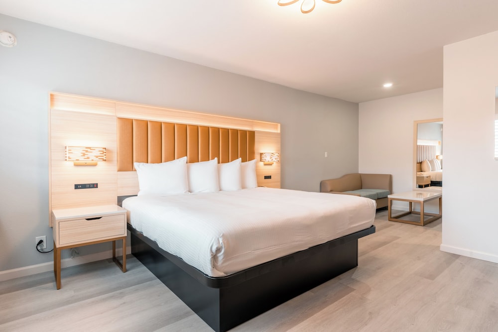 Superior Single Room, 1 King Bed - Photo 1