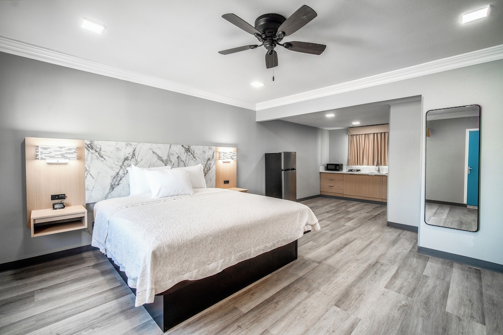 Deluxe Studio Suite, 1 King Bed, Kitchenette photo 1