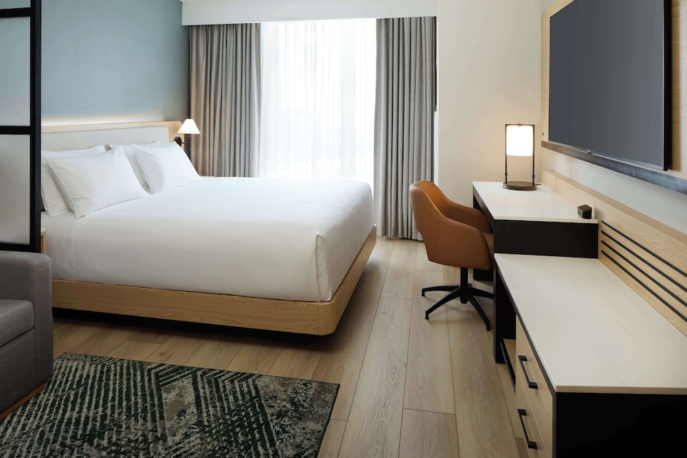 Room, 1 King Bed with Sofa bed