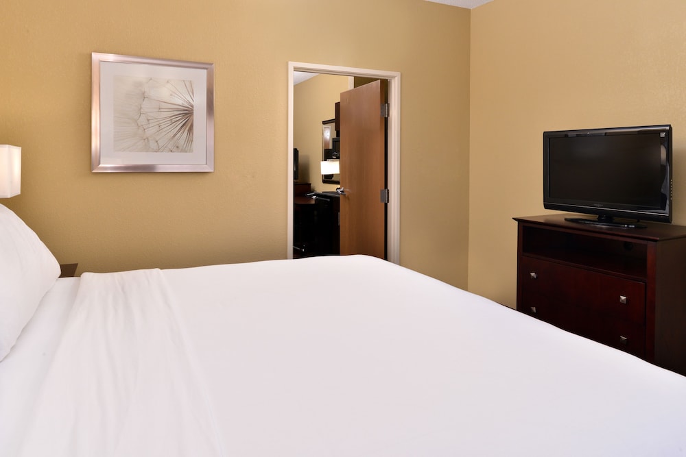 Suite, 1 King Bed With Sofa Bed - Photo 5