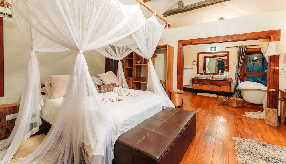 Double or Twin Room photo 1