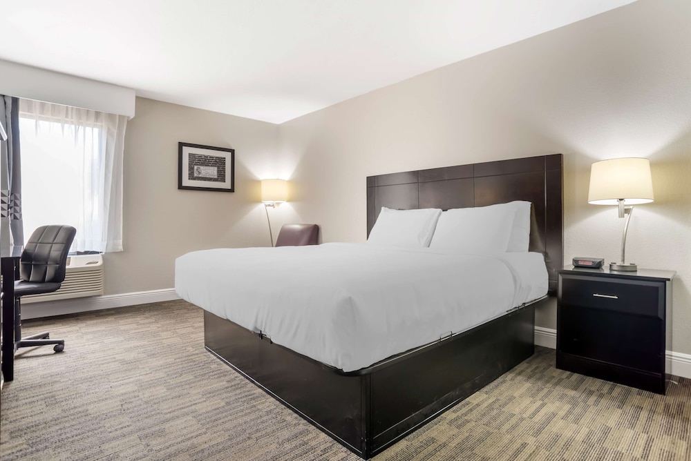 Standard Room, 1 King Bed, Accessible, Non Smoking - Photo 1