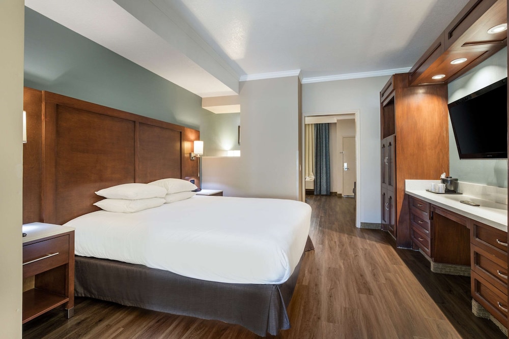 Suite, 1 King Bed, Non Smoking, Jetted Tub - Photo 11
