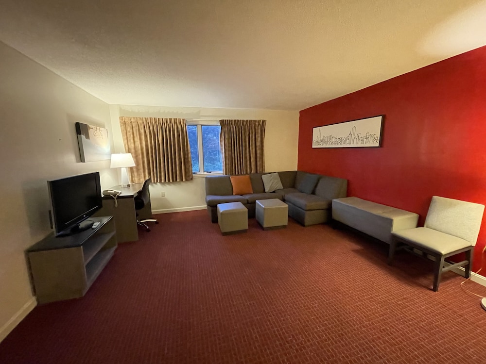 Basic Studio Suite, 1 King Bed, Smoking