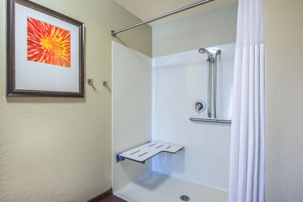 Studio Suite, Accessible, Kitchen (Roll-In Shower) - Photo 1