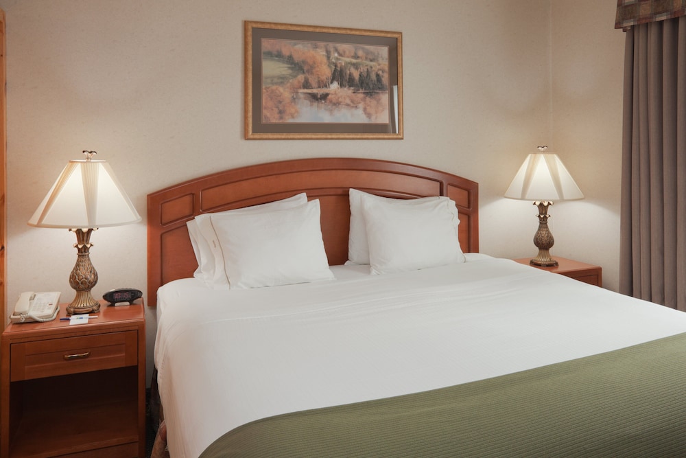 Suite, 1 King Bed - Photo 4