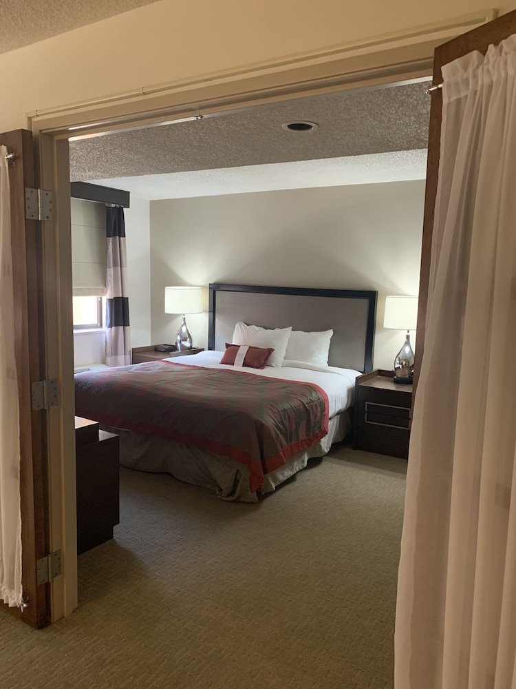 Suite, 1 King Bed - Photo 4