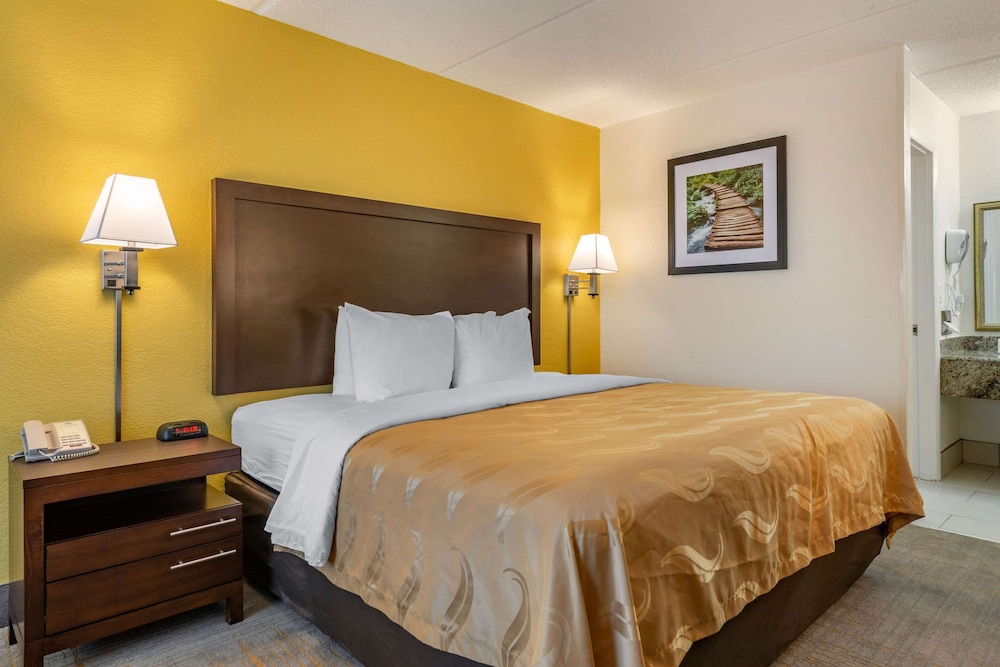 Suite, 1 King Bed with Sofa bed, Non Smoking - Photo 1