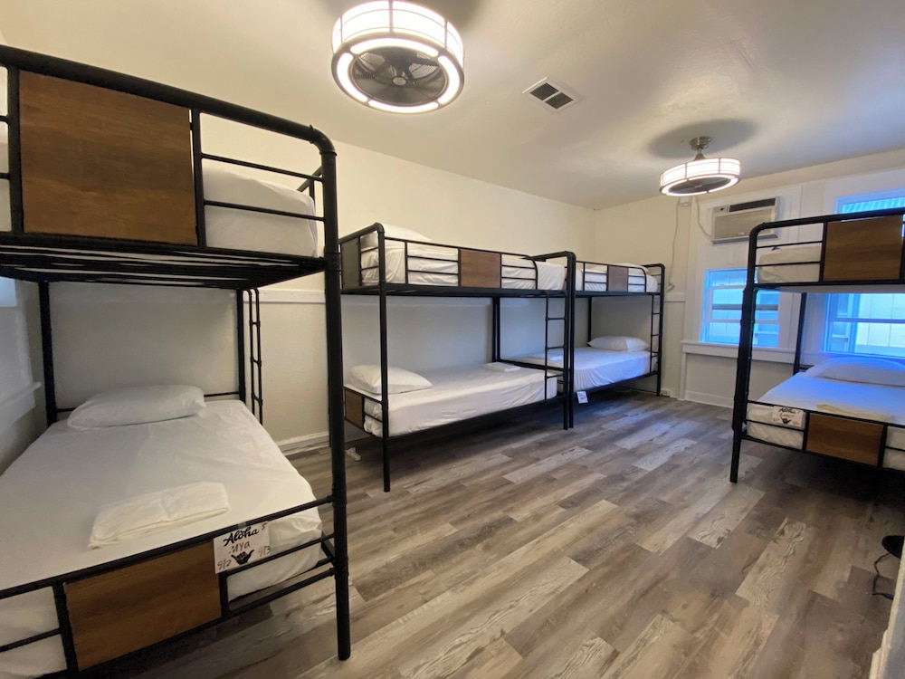 8 Bed Female Dorm photo 1