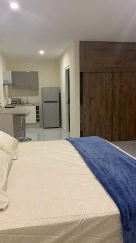 Comfort Apartment, 1 King Bed photo 3